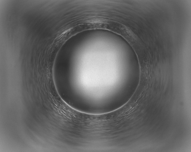 X0000052550821200507081607