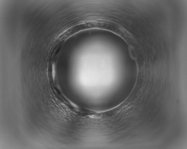 X0000052550822200507081607