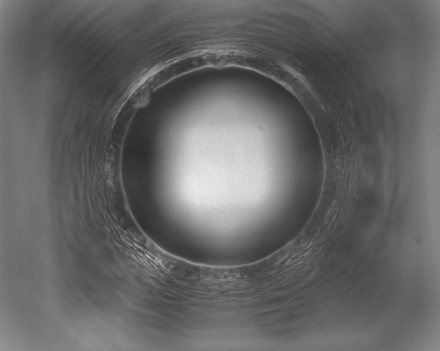 X0000052550823200507081607