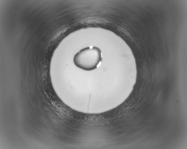 X0000052550824200507081607