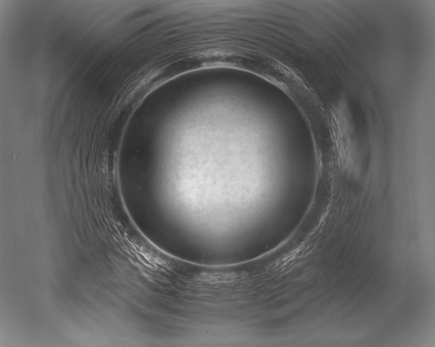 X0000052550825200507081607