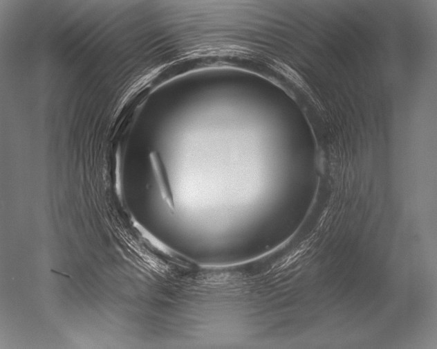 X0000052550826200507081607