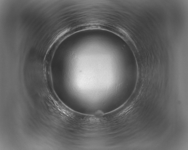 X0000052550827200507081607