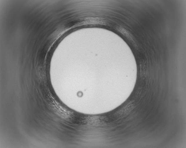 X0000052550828200507081607