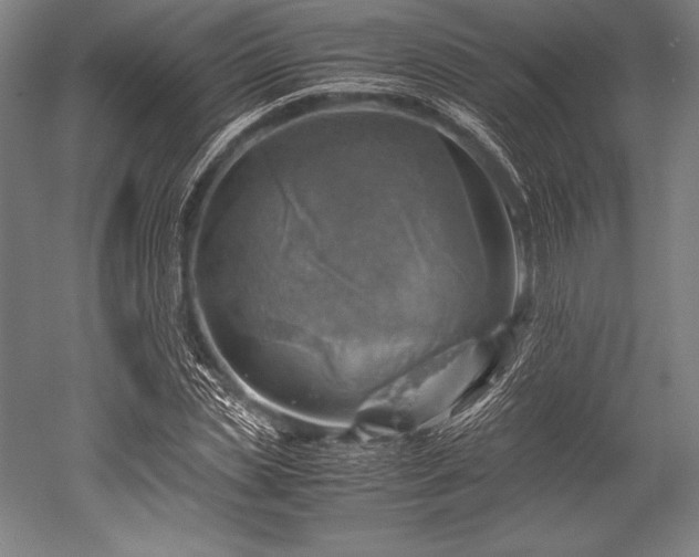 X0000052550829200507081607