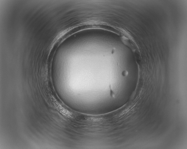 X0000052550831200507081607