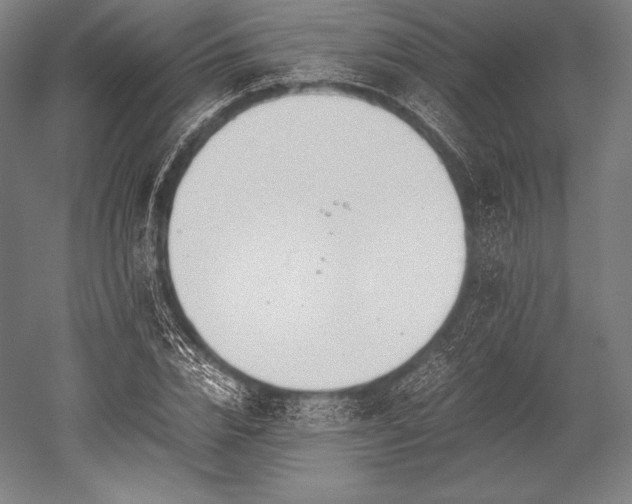 X0000052550832200507081607