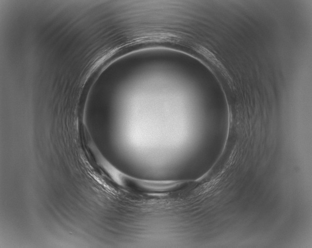 X0000052550834200507081607