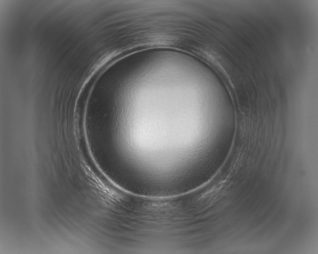 X0000052550835200507081607