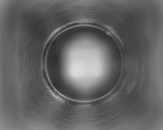 X0000052550837200507081607