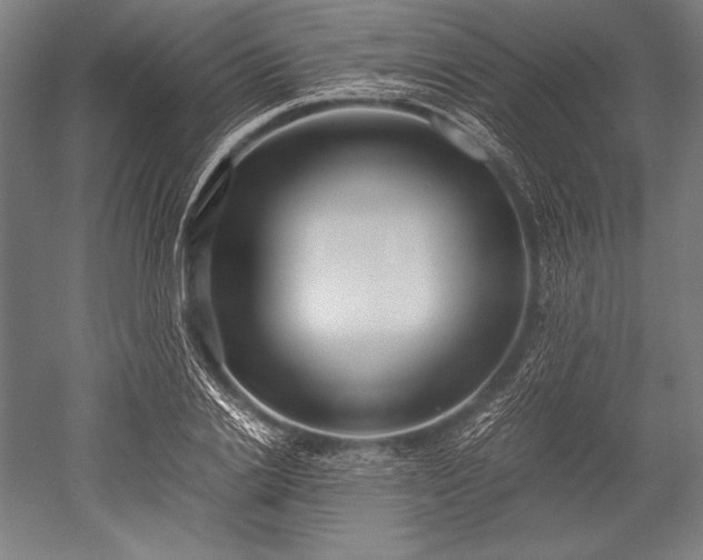 X0000052550838200507081607