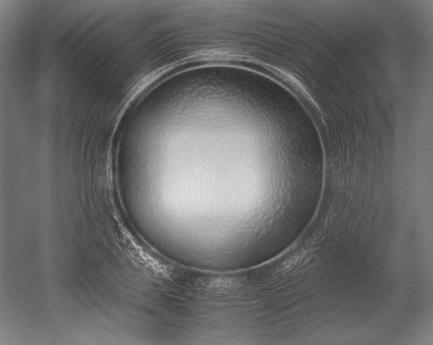 X0000052550839200507081607