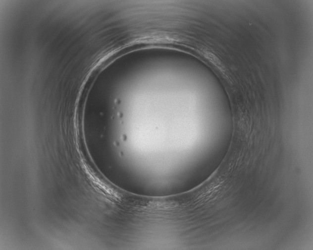 X0000052550840200507081607