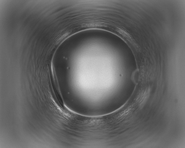 X0000052550841200507081607