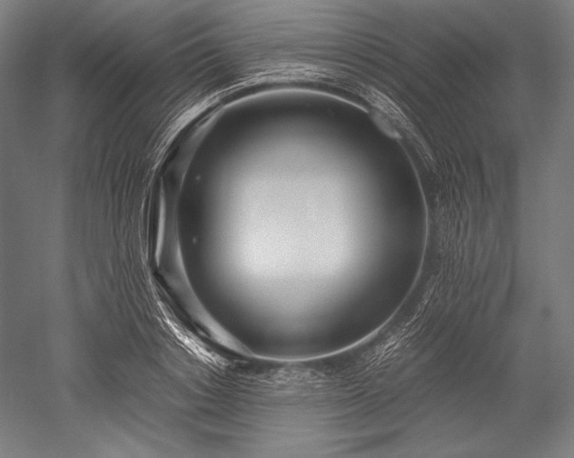 X0000052550842200507081607