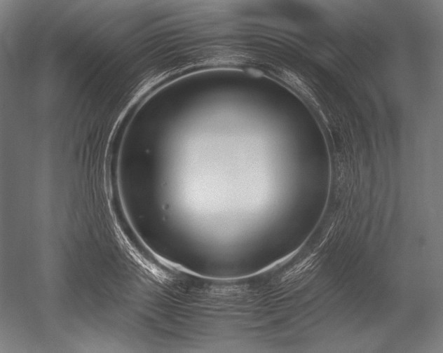 X0000052550843200507081607