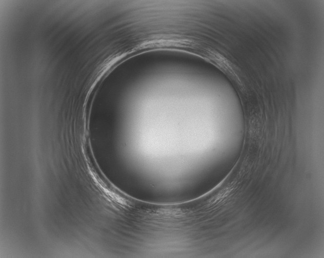 X0000052550844200507081607