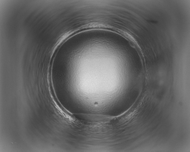 X0000052550847200507081607