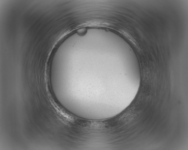 X0000052550848200507081607