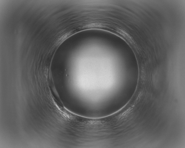 X0000052550849200507081607