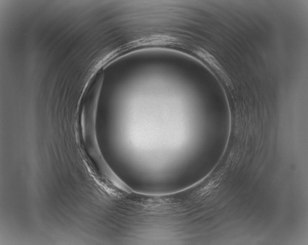 X0000052550850200507081607