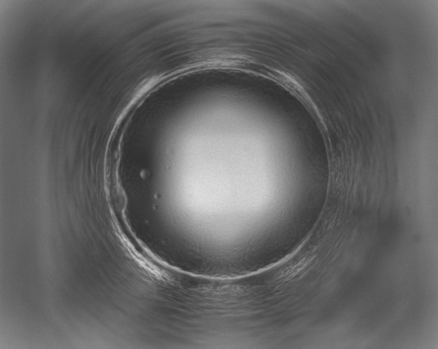 X0000052550851200507081607