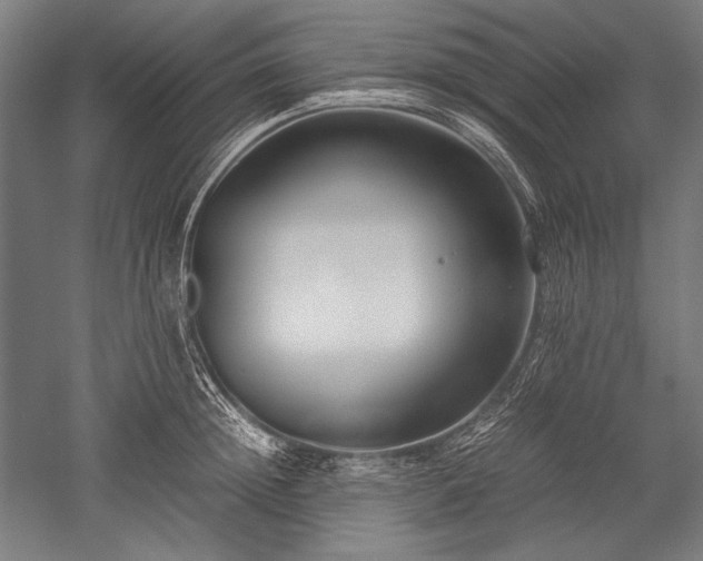 X0000052550852200507081607