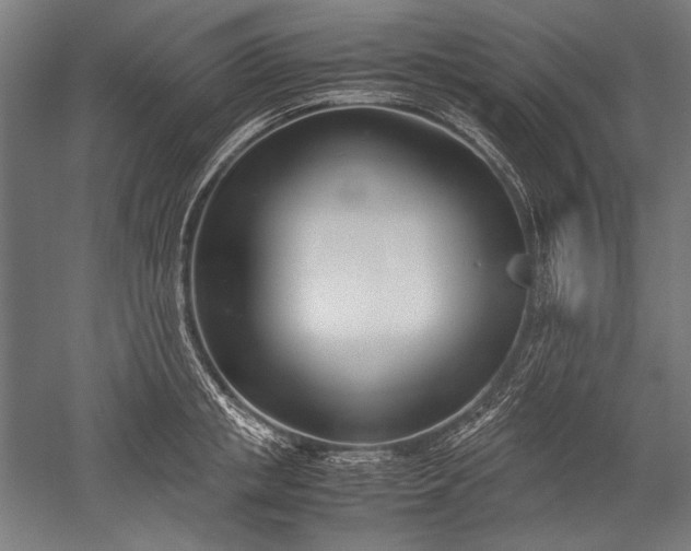 X0000052550853200507081607