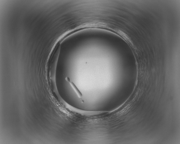 X0000052550854200507081607