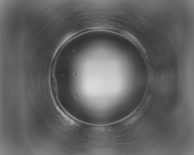 X0000052550855200507081607