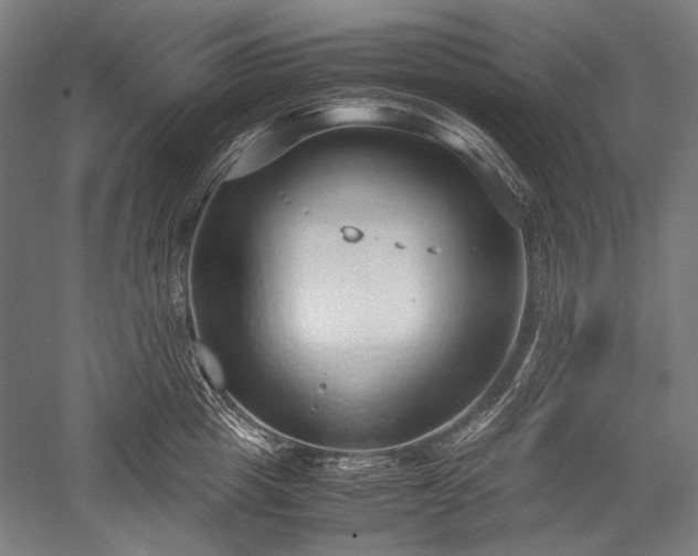 X0000052550857200507081607