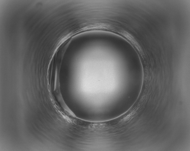 X0000052550858200507081607