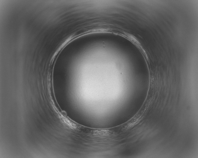 X0000052550859200507081607