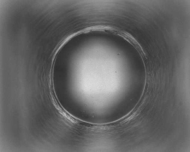 X0000052550860200507081607