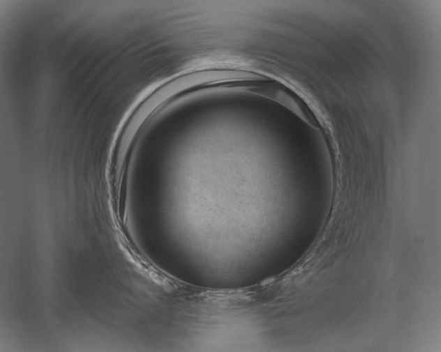 X0000052550864200507081608