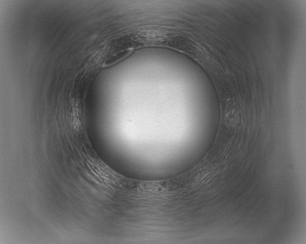 X0000052550866200507081607