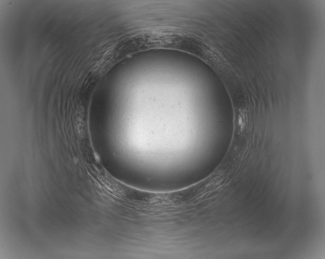 X0000052550867200507081607