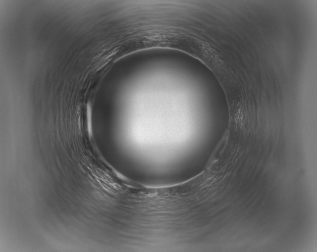 X0000052550868200507081607