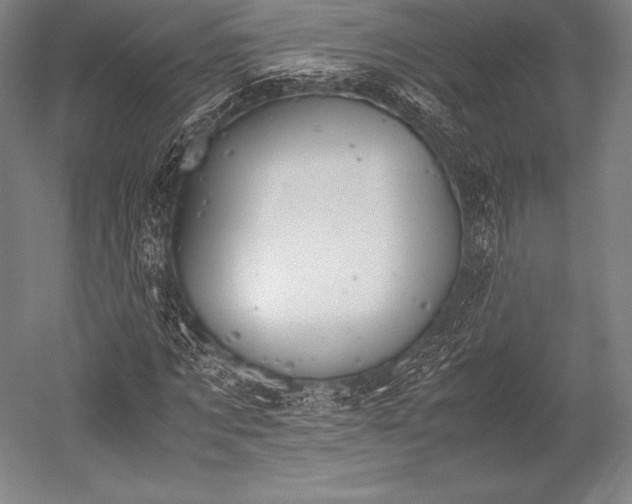 X0000052550869200507081607