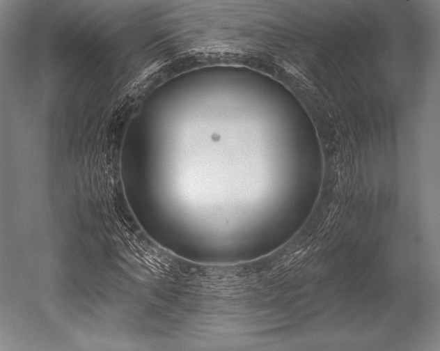 X0000052550870200507081607