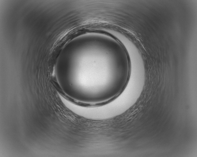 X0000052550871200507081607