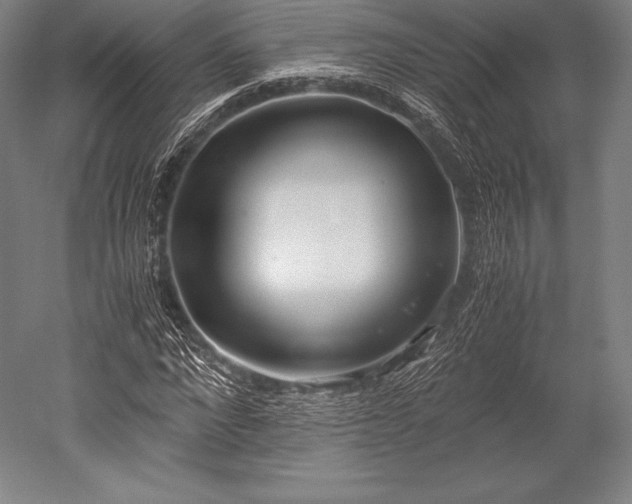 X0000052550872200507081607