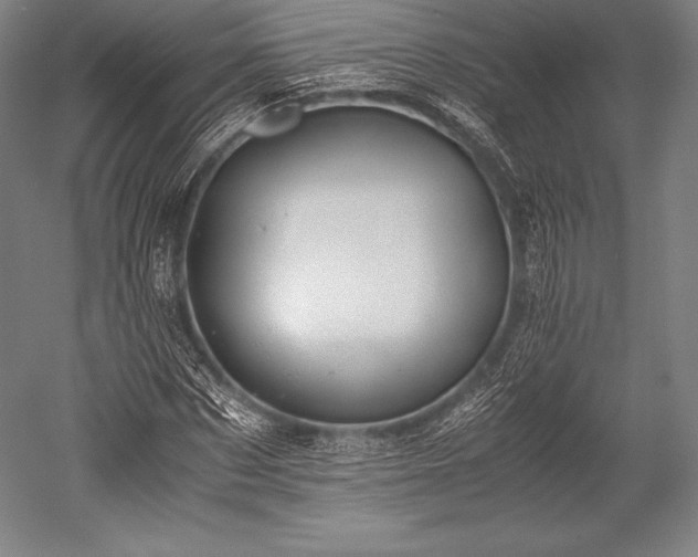 X0000052550873200507081607