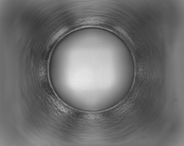 X0000052550874200507081607