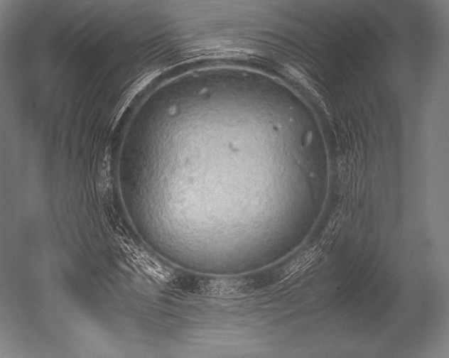 X0000052550875200507081607