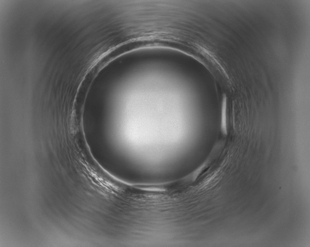 X0000052550876200507081607