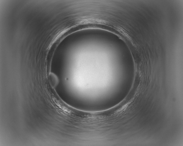 X0000052550877200507081607