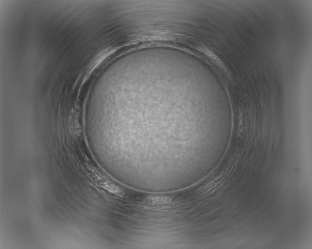 X0000052550878200507081606