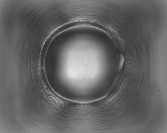 X0000052550880200507081606