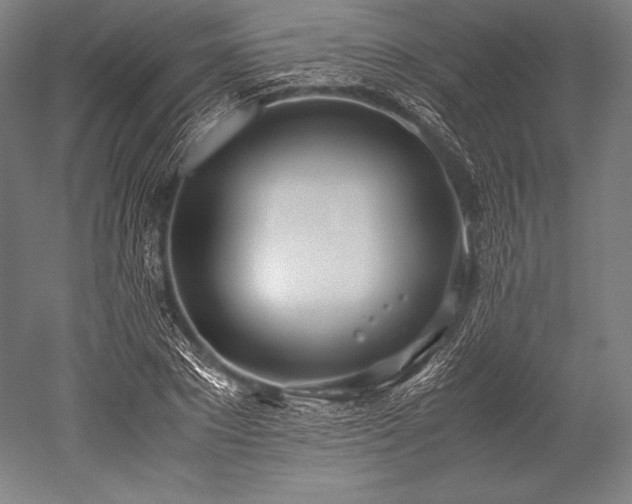 X0000052550881200507081606